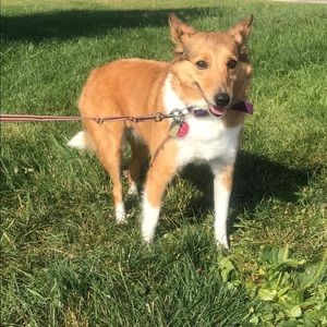 Meet your Posher, Anna